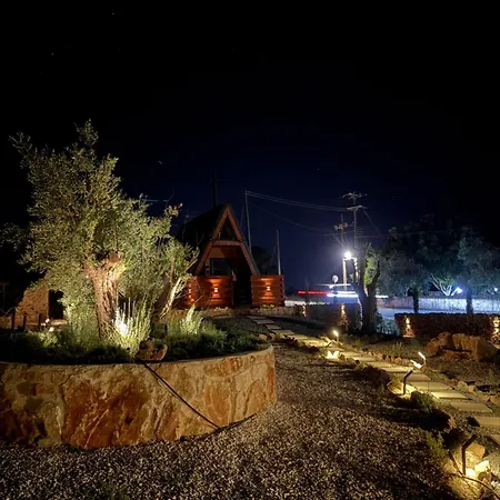 Semesterbostad Oliviare